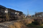 NS 1116
